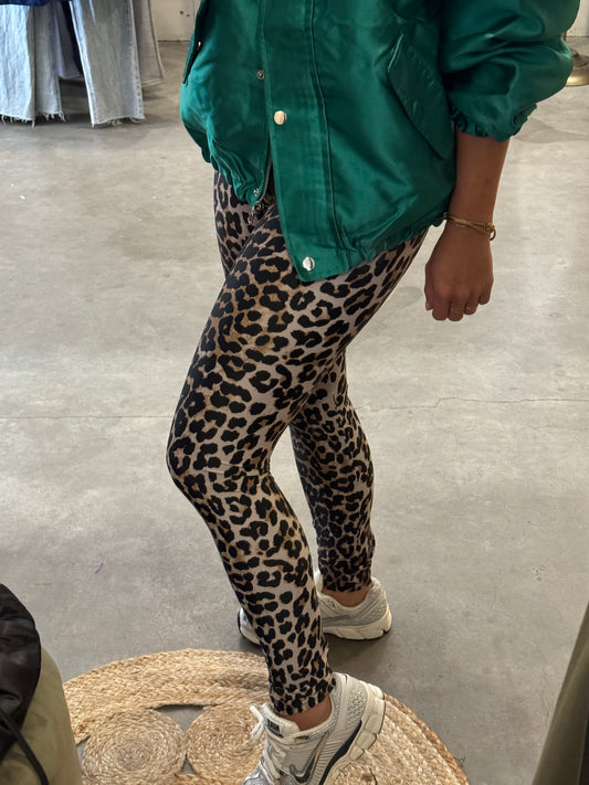 Leopard legging